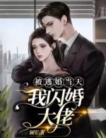 被逃婚当天，我闪婚大佬