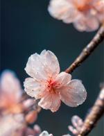 谭欢陆霆钧