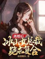 离婚后，冰山女总裁跪求复合