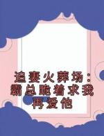 追妻火葬场：霸总跪着求我再爱他