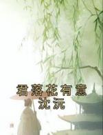 君落花有意沈沅