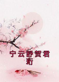 宁云舒贺君珩