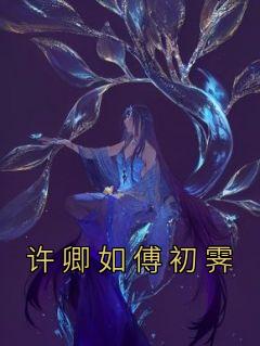 许卿如傅初霁