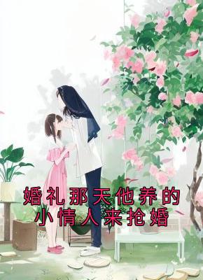 婚礼那天他养的小情人来抢婚