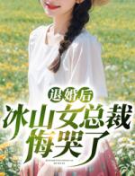 退婚后冰山女总裁悔哭了