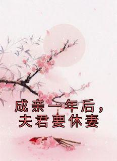 成亲一年后，夫君要休妻