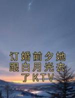 订婚前夕她跟白月光去了KTV