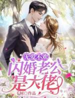 无爱不欢：闪婚老公是大佬