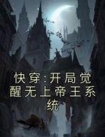 快穿:开局觉醒无上帝王系统